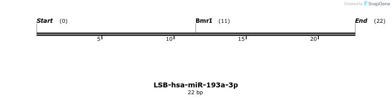 195660_map
