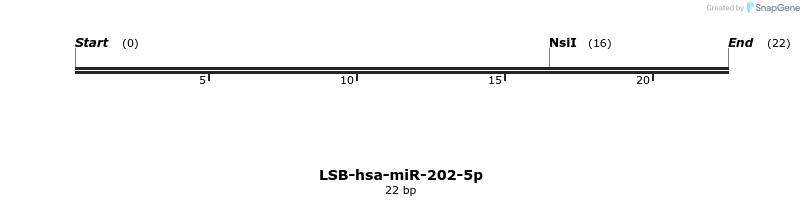 195720_map