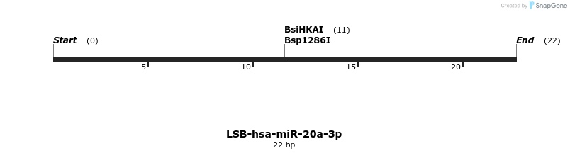 195732_map