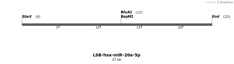 195734_map