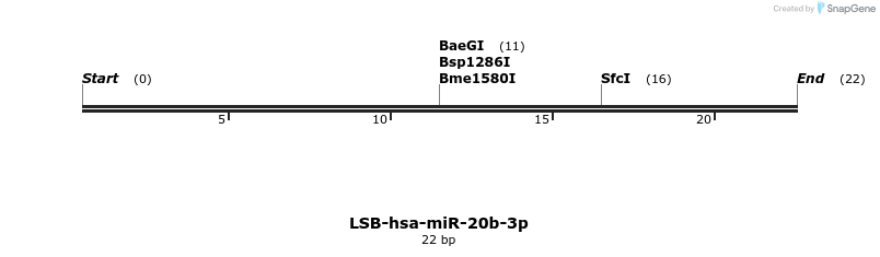 195736_map