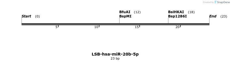 195738_map