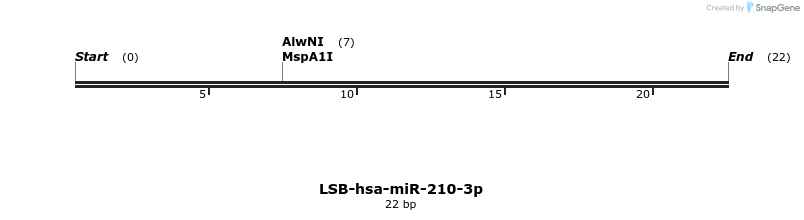 195742_map