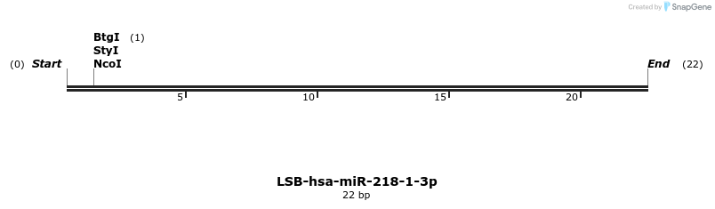 195762_map