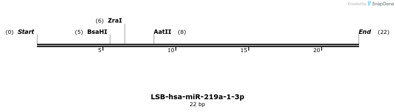 195766_map