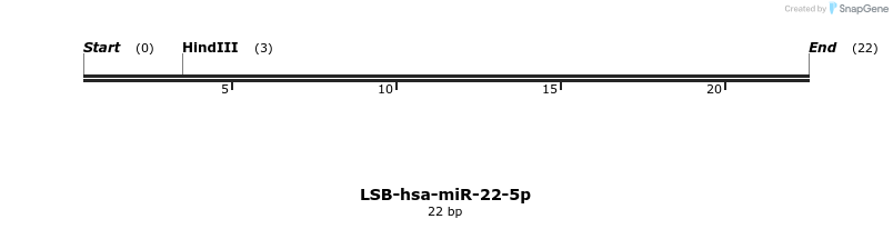 195778_map