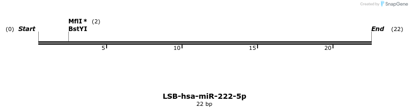 195786_map