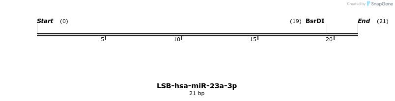 195792_map