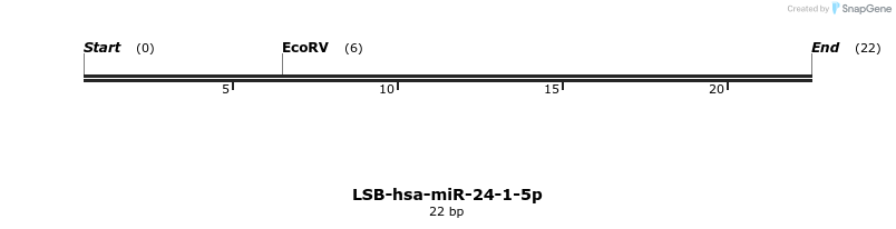 195798_map