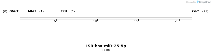 195802_map