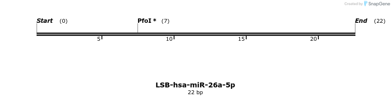 195808_map