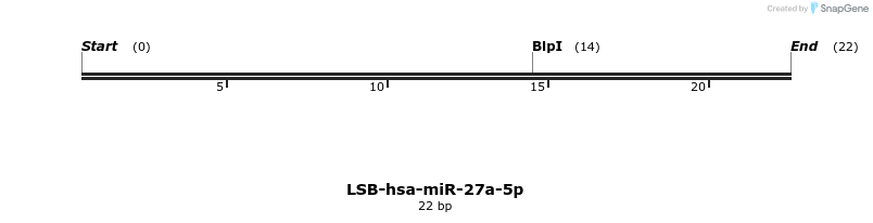 195814_map