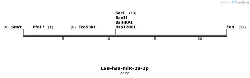 195820_map