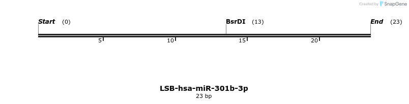 195846_map