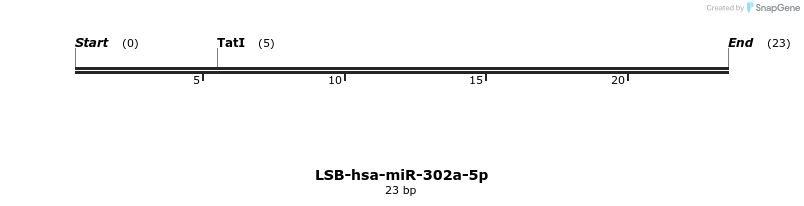 195852_map