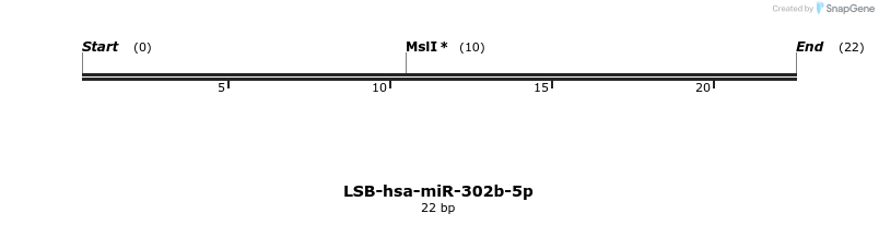 195854_map