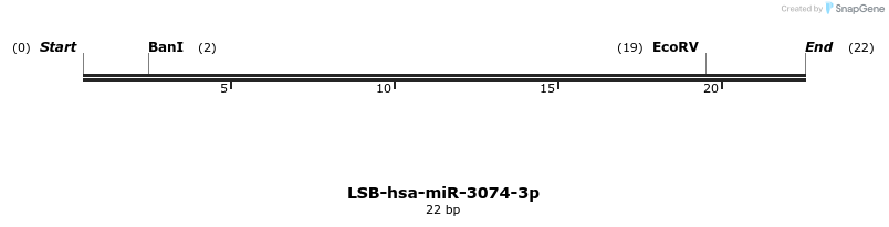 195864_map