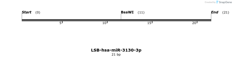 195894_map