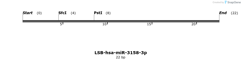 195906_map