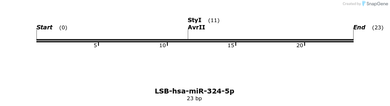 195922_map