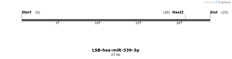 195954_map