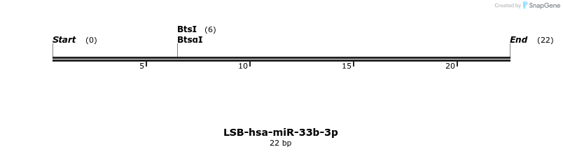 195962_map