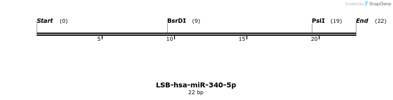 195968_map