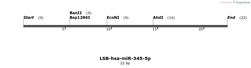 195976_map