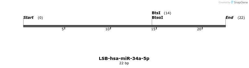 195980_map