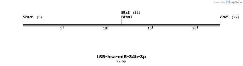 195982_map