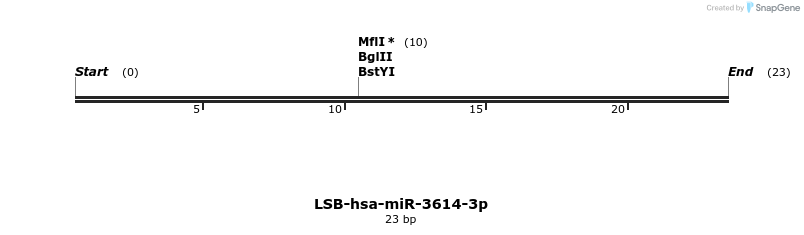 196002_map