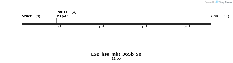 196020_map