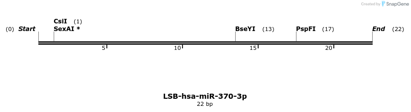196026_map