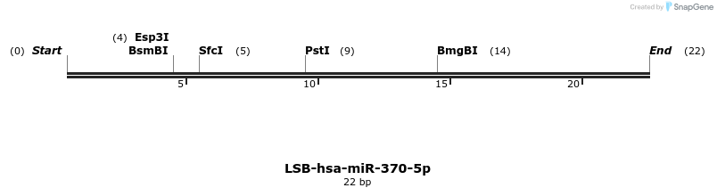 196028_map