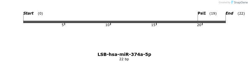 196032_map