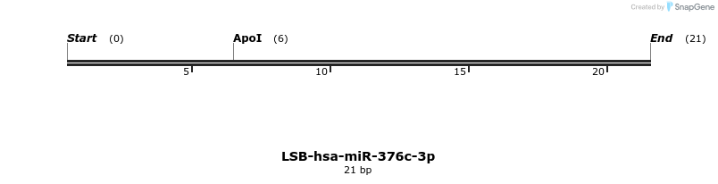 196046_map