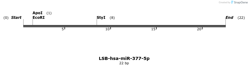 196052_map