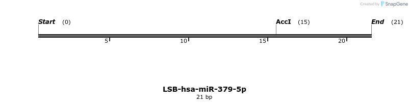 196060_map