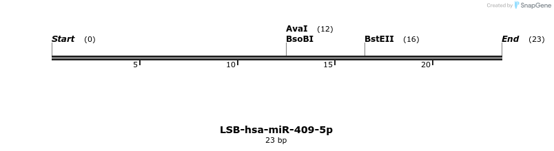 196072_map