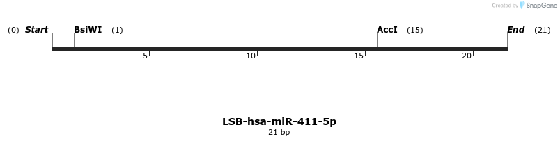 196076_map
