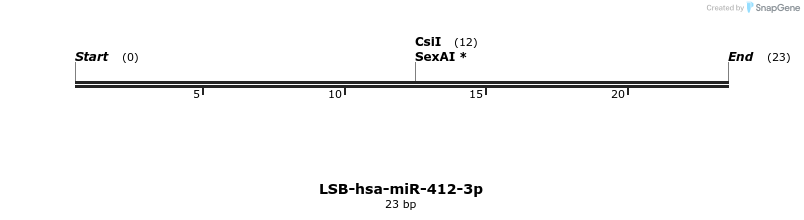 196078_map