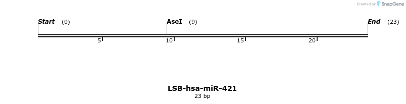 196080_map