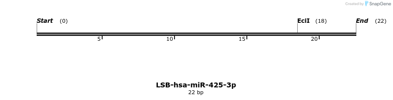 196090_map
