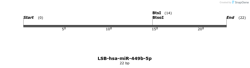 196109_map