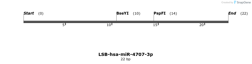 196137_map