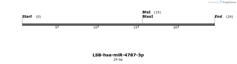 196145_map