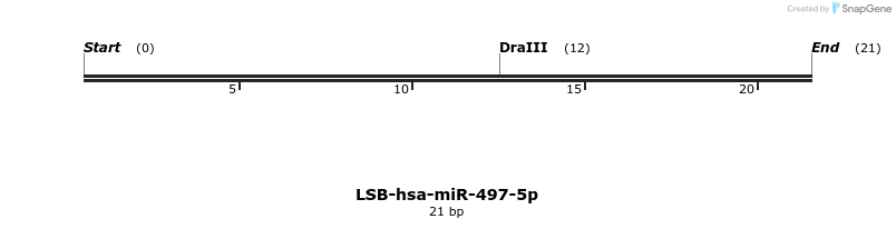 196191_map