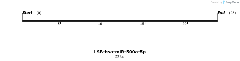 196201_map