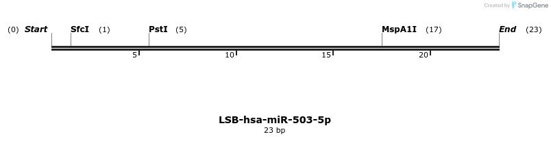 196209_map