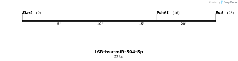 196213_map